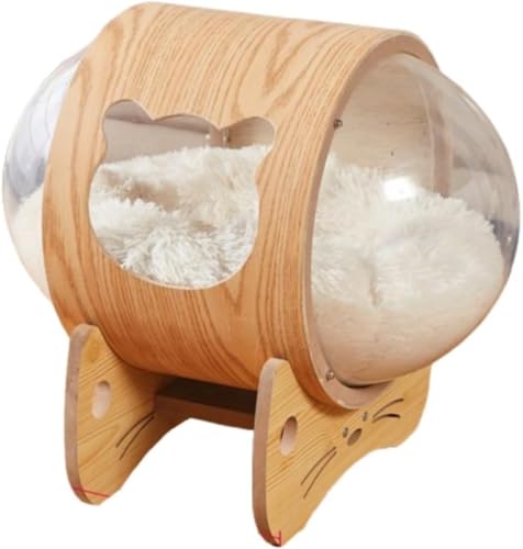 VGVGFD LnEX ybgpxbh h[ uΉ LbgnEX Ƌ Lbgxbh ؐ LnEX Lp ybg JvZ^ lRnEX ؐ IV lGʗp  (dqɃf) (B,i`)