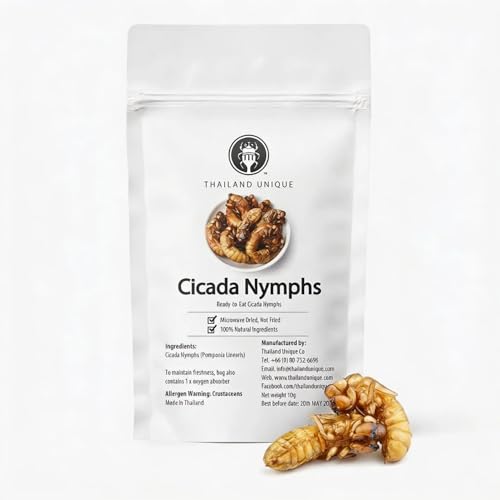 Thailand Unique Cicada Nymphs - 10 Gram Bag of Dehydrated Edible Insects for Humans, Nutritious Bugs Superfood Unusual, Weird Snack Gift