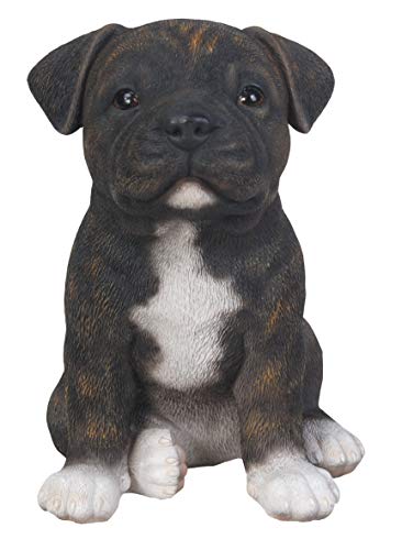 Vivid Arts Pet Pals - Brindle Staffordshie Puppy by Pet Pals