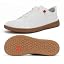 Wt03 |White-gum