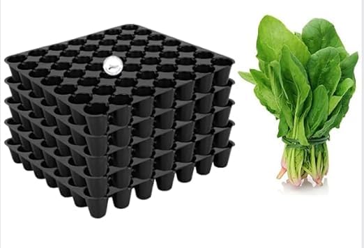 Set of 2 Seedling Trays (50Cavity Holes) and Spinach vegetable seeds Plant Container Set (Pack of 2, Plastic) (Pack of 2 + SEEDS)