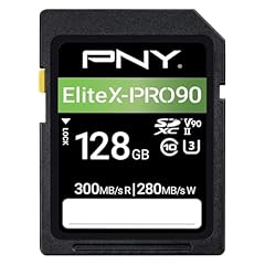 PNY 128GB EliteX-PRO 90 Klasse...