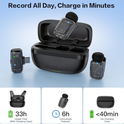 Image of Haomuren 2-in-1 Wireless Microphone