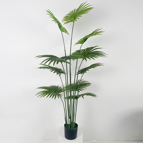 [LJKI] tFCNO[ lHϗtA V̖ ϗt A  CeA ~͐A   a m 120cm ItBX ^  J^ tFCNA ϗA sv sv 傫 l  蕨 v[g