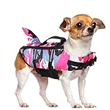 Queenmore Dog Life...image
