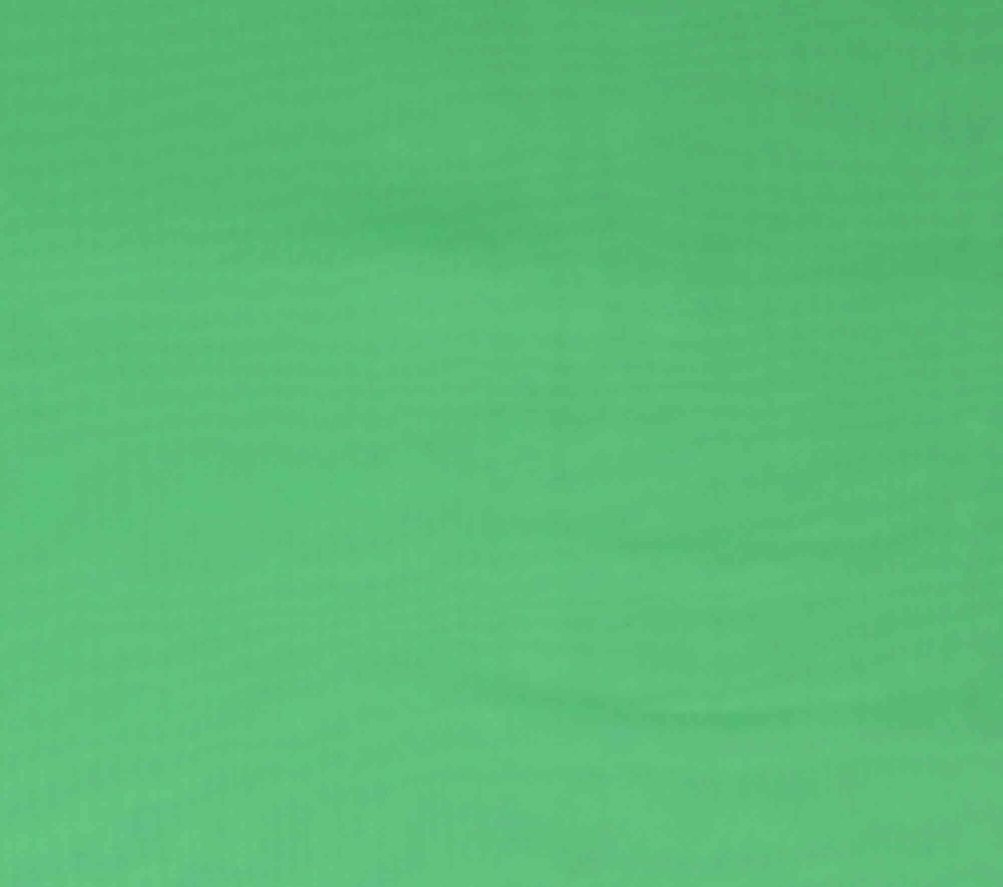 Richlin Fabrics Fabric, Chiffon, Sage
