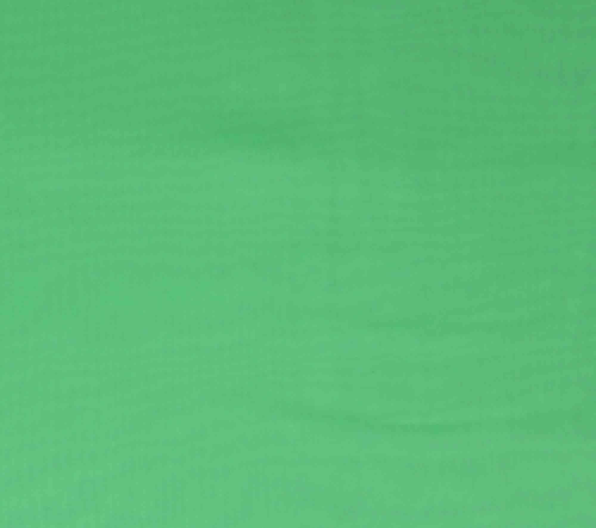 Richlin Fabrics Fabric, Chiffon, Sage