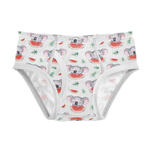 Cotton Little Boys Briefs Soft Wombat Watermelon Toddler Underwear