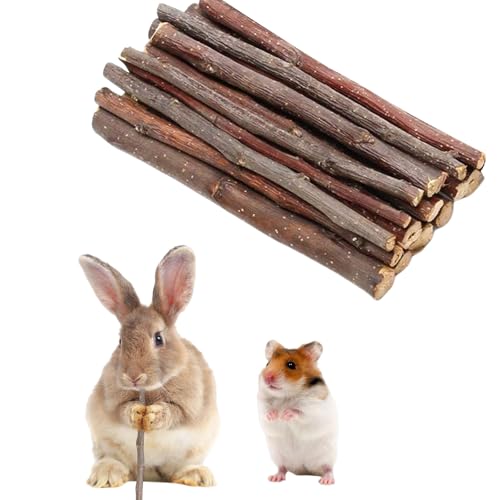 100g ハムスター 歯磨き うさぎ 噛むおもちゃ 天然 無添加 無着色 りんごの木 極細枝 中枝 歯ぎしり棒 かじり木 歯磨き 噛む棒 アップルブランチ ストレス解消 ウサギ チンチラ モルモット リス ハムスター 小動物 おやつ (りんごの木)