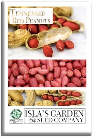 Tennessee Red Peanut Seeds for Planting, 20 Peanut Seeds Per Packet, (Isla's Garden Seeds), Non GMO Seeds, Botanical Name: Arachis hypogaea, Fun Home Garden Gift