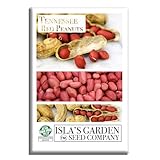 Tennessee Red Peanut Seeds for Planting, 20 Peanut Seeds Per Packet, (Isla's Garden Seeds), Non GMO Seeds, Botanical Name: Arachis hypogaea, Fun Home Garden Gift