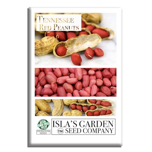 Tennessee Red Peanut Seeds for Planting, 20 Peanut Seeds Per Packet, (Isla's Garden Seeds), Non GMO Seeds, Botanical Name: Arachis hypogaea, Fun Home Garden Gift