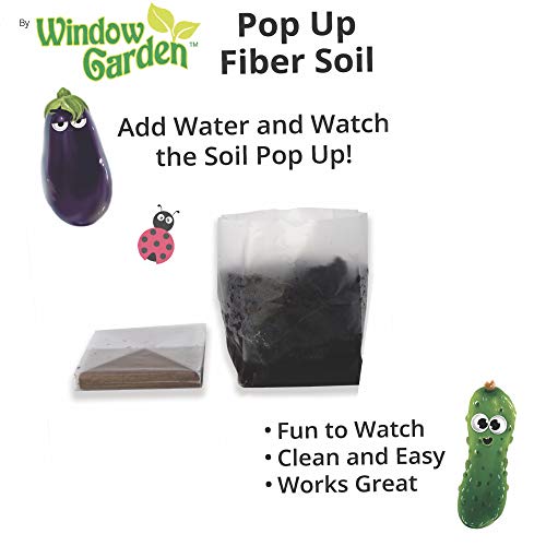 Window Garden Sow Much Fun Seed Starting, Vegetable Planting And Growing Kit For Kids, 3 Self Watering Planters, Soil, Seeds And Puffy Stickers. No Mess, Easy, Works Great! (Broccoli) #TOP3