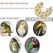 Bird Cone Collars for Feather Plucking, Monk Parakeets Anti-bite Soft Wound Healing Safety Elizabethan Collar,Sun Conures Recovery Neck Cones Quaker Cockatiels Feather Protection with Wood Hanger