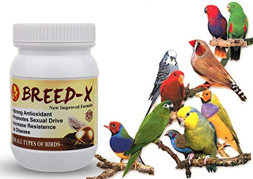 Image of Pet Care International (PCI) Breed-X || Provide All Essential Nutrition || Healthy Bird Breeding Healthcare (250 Grm, Breed X), All Life Stages, Pellet