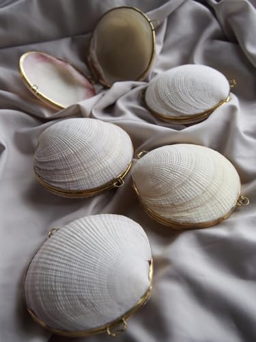 Amazon.co.jp: 貝殻の問屋さん: 貝殻の小物入れ