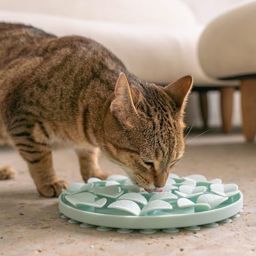 Tapis à renifler silicone de qualité alimentaire Dexypaws enrichissant - 5