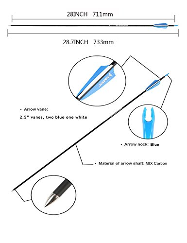 Pandarus Archery Carbon Arrows 28-Inch Safety Beginner's Target Practice For Compound & Recuve Bow - (Pack Of 12) Blue #TOP4