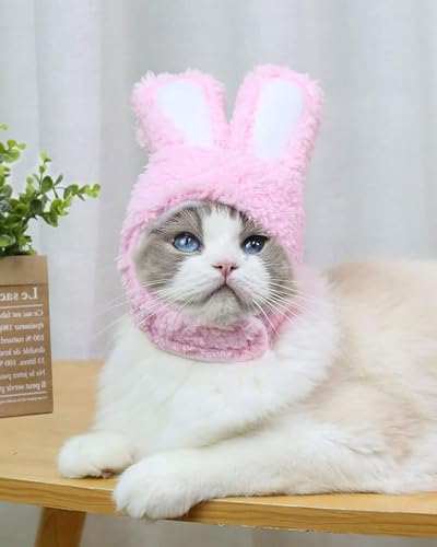 Zeayebsr 2 Stück Katze Hut, Nett Haustier Hut, Katze Kostüm mit Hasenohren, Häschenkostüm für Katzen und Welpen, Halloween Oster-Cosplay Weihnachten Party Kostüm Kopfbedeckung, für Haustier