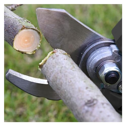 Cisaille efficace for l'élagage avec variateur 4 vitesses automatique - 7
