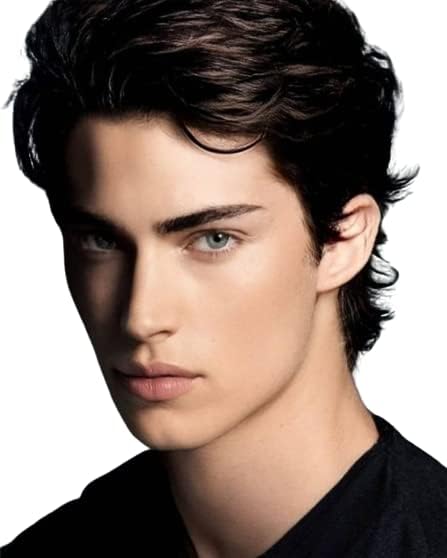 Pinaka Natural Full Head Synthetic Gents Hair Wig for Men and Boys Pack Of 1, Brown Color