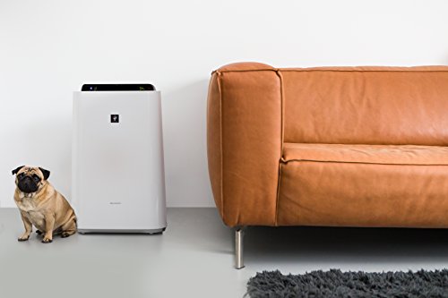 Sharp KC D60EUW Humidificateur purificateur d'air - vue 4