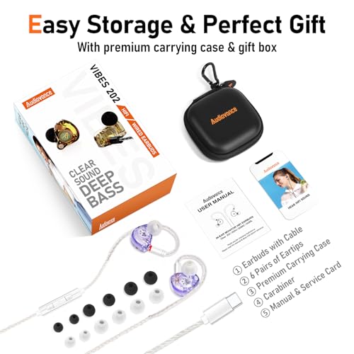 Image of Audiovance Vibes 202MC USB-C HiFi Wired Earbuds, Type-C Headphones with Mic