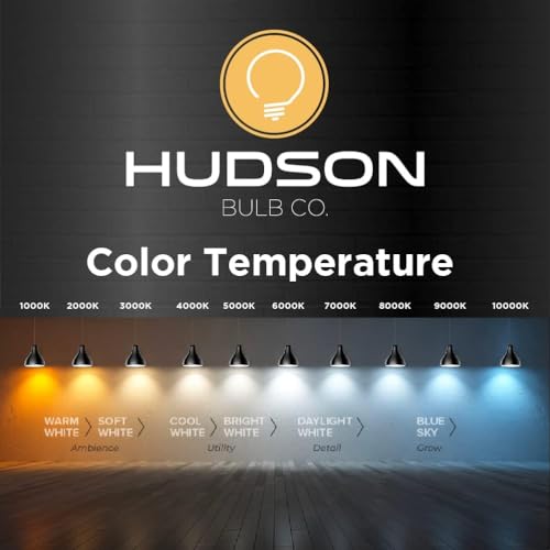 image for Hudson Bulb Co. Vintage Incandescent Edison Light Bulbs, 60W, E26/E27 