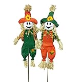 Nuestro espantapájaros de cosecha trae un gran encanto de cosecha, decoración de otoño para tu jardín, repisas y una bala de heno para dar la bienvenida a la temporada de otoño
