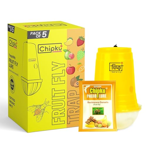 Image of Chipku Bactocera Dorsalis Fruit Fly -Pack of 5 Outdoor Eco Pheromone Trap with Lure Useful in Mango, Papaya, Sapota, Guava, Pomegranate, Sweet Fruit Yellow