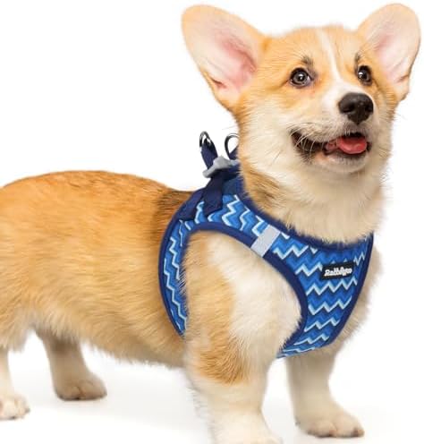 rabbitgoo Hundegeschirr Kleine Hunde, Step-in Weiches Mesh, Chevron Blau | Einfach anzulegen, Atmungsaktiv & Reflektierend, Ausbruchsicher mit Sicherheitsverschluss für Kleine Mitt