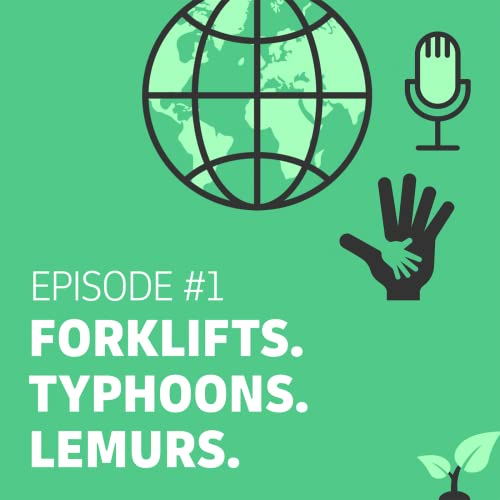 Forklifts. Typhoons. Lemurs.