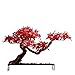 LZQPEARL Decorar Red Maple Bonsai Tree Artificial Bonsai Tree Plantas Falsas for la Oficina en el hogar Libro de la Pared Decoración de la Sala del Estante Adornos