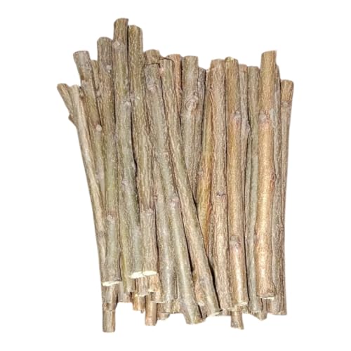Image of Ayurvedic Natural Organic Neem Datun Toothbrush, Twigs Chew Sticks for Brushing Teeth Removes Bad Breath, Relieve Tooth Ache, Healthy Collected in The Wild. (Pack of 40)