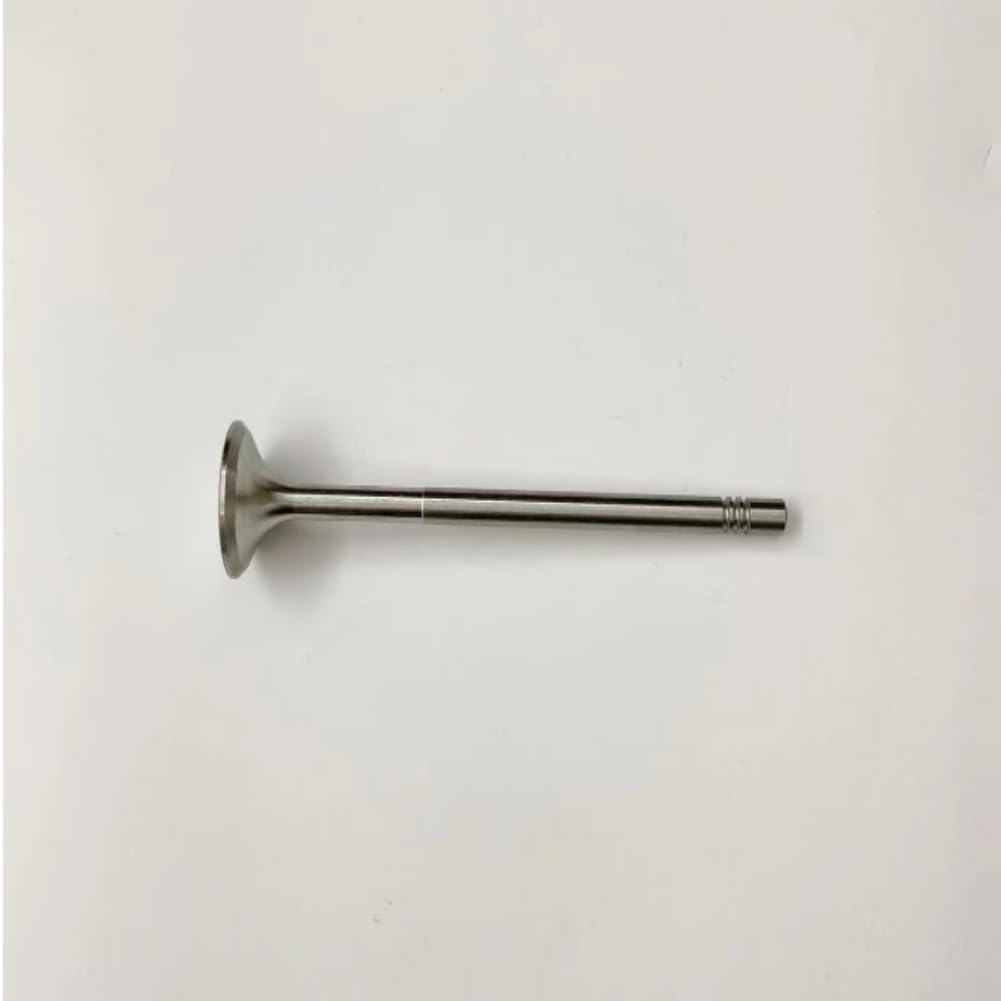 Exhaust Valve 6510500127 AUTO-GETHER