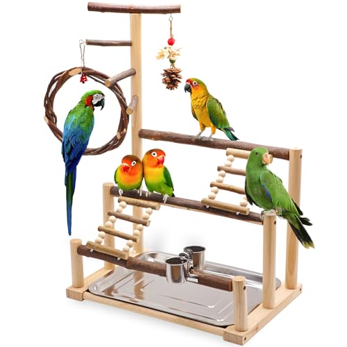 Bird Playground Natural Wooden Parrot Stand Suitable for Small and Medium Birds with Feeding Cups Swing Chew Toys Bird Perch Ideal for Parakeets Budgerigars Canaries Conures