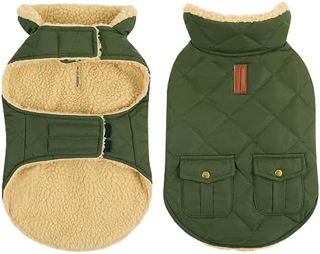 CITÉTOILE Warme Hundemantel Fleece Wintermantel für Hunde Grün XS | Hundebekleidung Hundejacke mit Geschirr Loch für Chihuahua Dackel, Outdoor Welpen Mantel für kleine mittel große