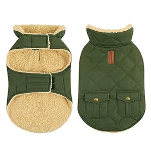 CITÉTOILE Wintermantel Hundemantel, Warme Winterjacken mit Fleece für Hunde,Hundejacke Hundekleidung Hundepullover Dog Coat mit Geschirr Loch für Chihuahua Dackel, Grün, M