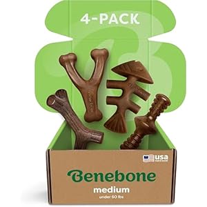 Benebone Medium 4-Pack Dog Chew Toys for Aggressive Chewers, Made in USA, 60lbs and Under