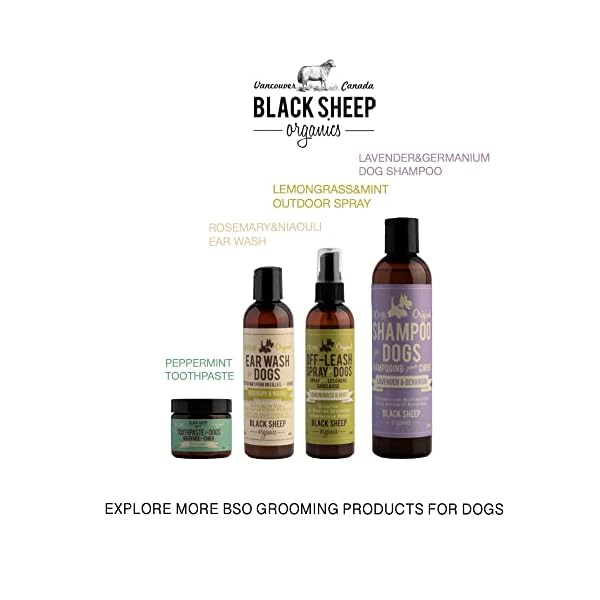 All Natural Ear Wash for Dogs All Natural Ear Wash for Dogs
