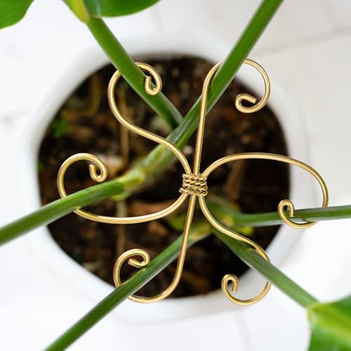 YOHSNOR Durable Monstera Plant Support Hooks 5.5in - 5-Piece Set for Indoor Plant Stabilization, Easy-to-Use Grapple Holders for Monstera and Turtle Shell Plants for Plant Lovers
