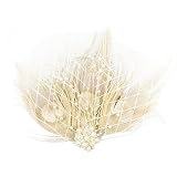 Song Qing Feather Hair Clip 1920s Flapper Fascinator Wedding Headwear Bridal Headpiece