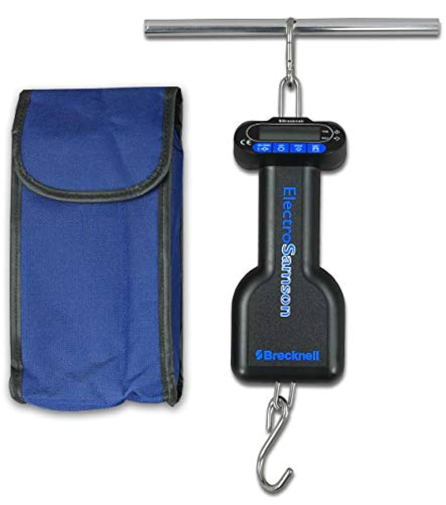 Amazon.com: Salter-Brecknell SA3N271 ElectroSamson Digital