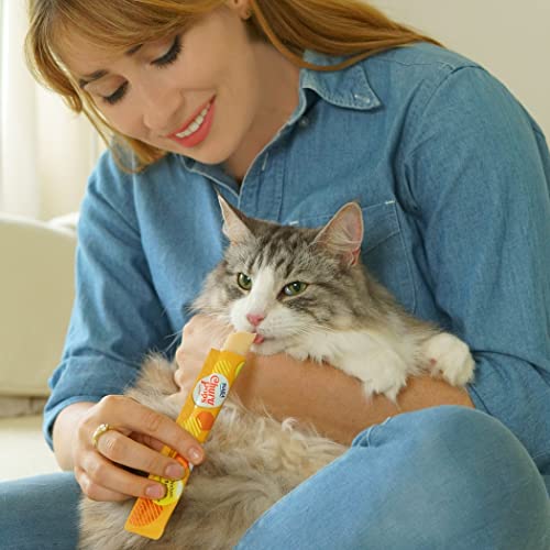 INABA Churu Pops Moist and Chewy Cat Treat Tuna with Chicken Recipe 24 Tubes