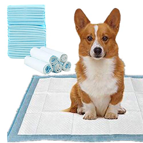 DZL-empapadores Desechables - Empapadores Super-absorbentes, Almohadillas para la incontinencia (XL 60X90CM 40PCS, Blanco)