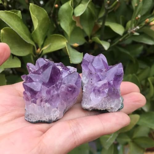 Amethyst Quartz Crystal Cluster Remueve el Estrés Visual de su Oficina 5
