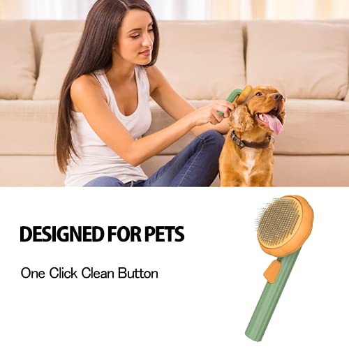 https://m.media-amazon.com/images/I/41ccHOGkGoL._SL500_.jpg
