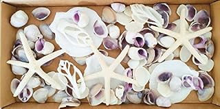 Avalon MIXED SEA SHELLS Collectable Small Seashell Mixes, Decorative Craft Shells, White Shells, Starfish, Weddings/Home Decor, Beach & Costal Themed Arts and Crafts Projects & Parties (Mix #ML)