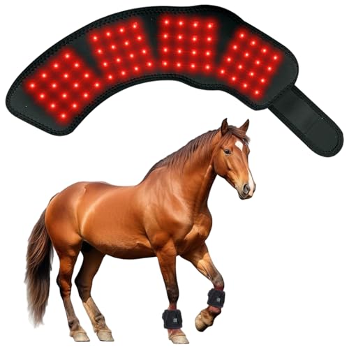 Tapis de thérapie à lumière rouge pour chevaux sans fil et rechargeable