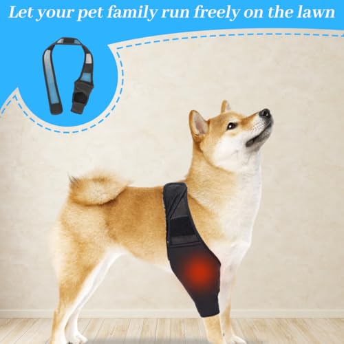 EIHI Kniebandage Hund Hinterbein für das Linke Bein - Hergestellt aus Neopren,für Kreuzbandriss,Bänderverletzungen,Patellaluxation oder Osteoarthritis - Größe S